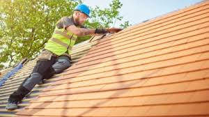 Best Roof Installation  in Williston Highlands, FL